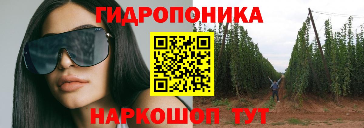 Марихуана OG Kush Будённовск